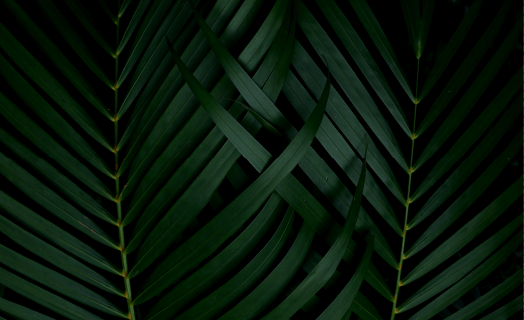 inner_01_02 https://apartas.pl/sikorski.cz/wp-content/uploads/2020/03/inner_01_02.png